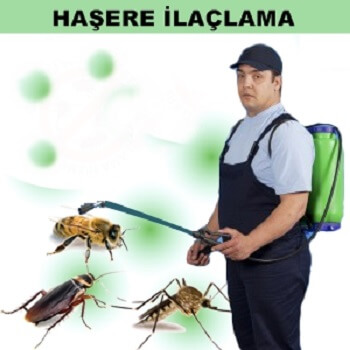 Maçka Böcek İlaçlama